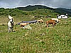 Rifugio Erdemolo 006.jpg