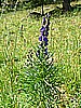 Rifugio Erdemolo 012.jpg