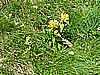 Rifugio Segantini 011.jpg
