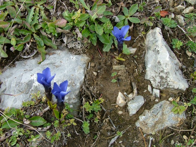 Rifugio Selle 021.jpg
