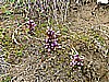 Rifugio Selle 019.jpg