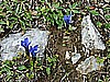Rifugio Selle 021.jpg